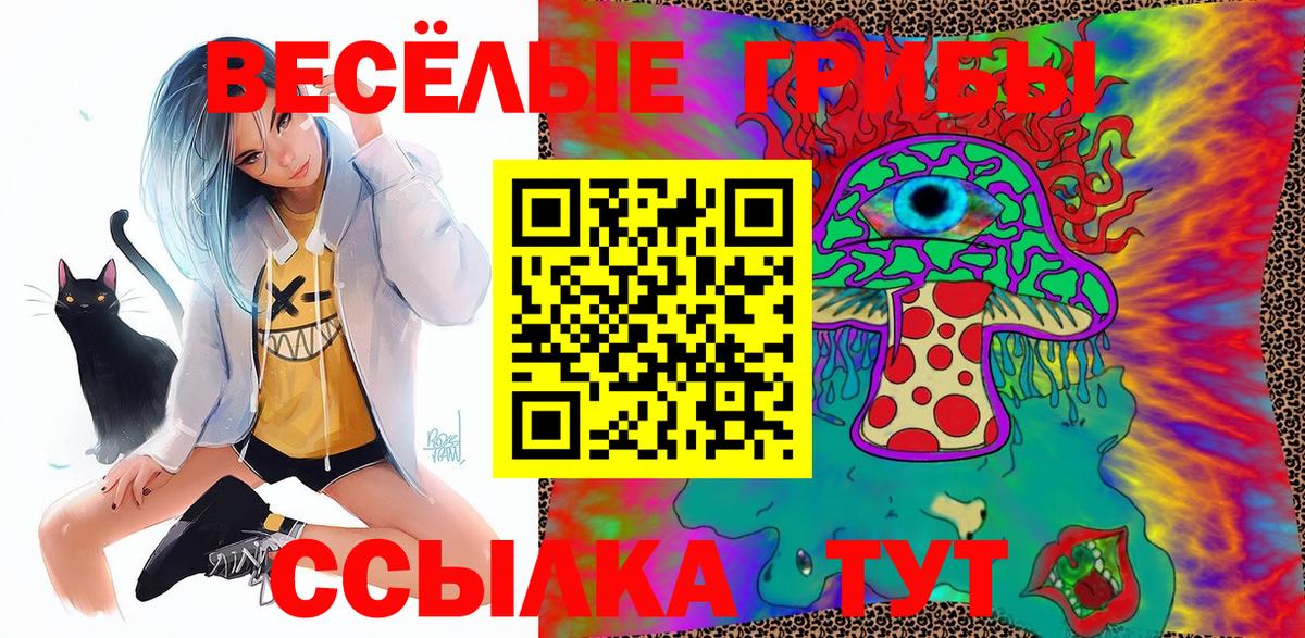 Псилоцибиновые грибы Psilocybe Дмитров