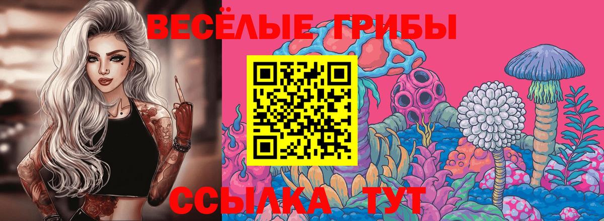 Дмитров  Псилоцибиновые грибы ЛСД  Вход с VPN  Галлюциногенные грибы мухоморы 